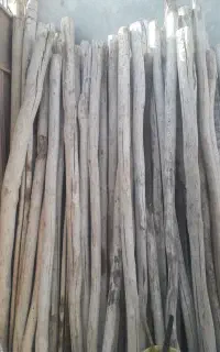 شمعی