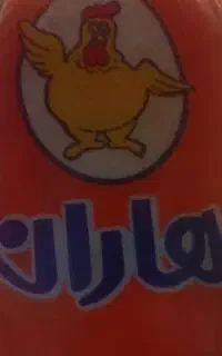 استاد کارفیله وکارگر ماهر جهت کار در مرغ فروشی