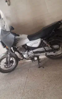 باکسر دینو ۲۰۰