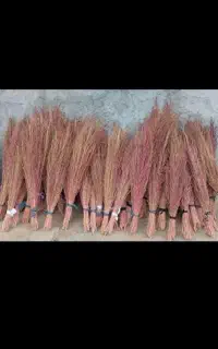 جارو  چپی ۱۰۰ تومان