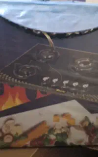 جارو برقی و  گاز صفحه ای