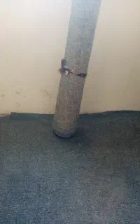 موکت