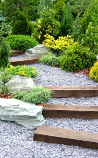 باغبانی و هرس و سمپاشی و تشخیص کمبود مواد غذایی