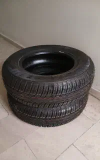 کتابخانه و لاستیک و درختچه نخل