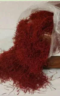 فروش زعفران