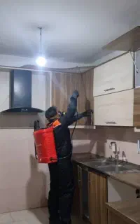 سمپاشی تخصصی حشرات و آفات