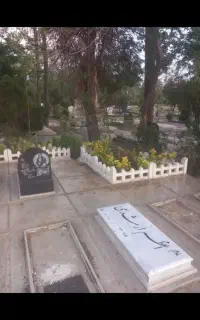 مراقبت آبیاری از نهال درخت گل وگیاه در بهشت زهرا