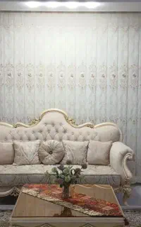 شستشوی پرده و زبرا