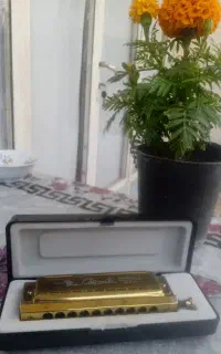 ساز دهنی