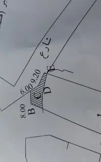همکاری نقشه بردار