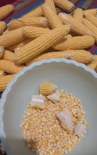 ذرت دون شده ازبلال حمل آباد
