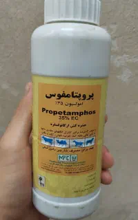 سم پروپتامفوس برای کک
