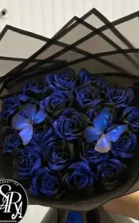روبانی دو رنگ شاینی