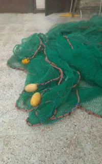 گوفه میگو