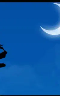 با نصب میلی 15 سوت هدیه ببر