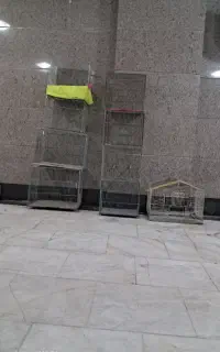 قفس پرنده