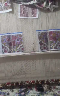 دارقالی ۶متری