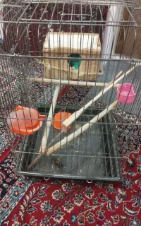 لوازم حیوانات