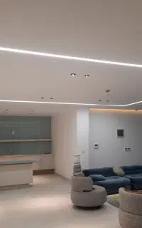استاد کار نقاش