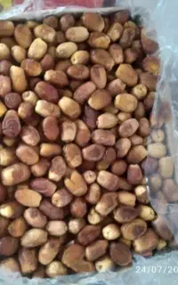 خرما زاهدی لوکس درجه 1 درشت تازه