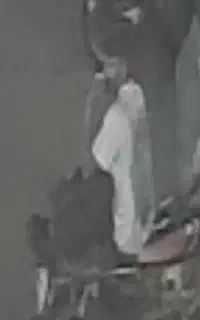 گمشده دستگاه رهرو رایکا