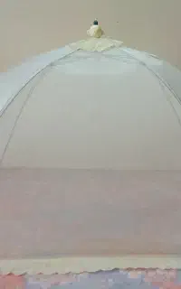 پشه بند نوزاد