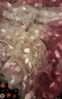 پرده  نونو