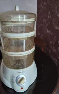 بخارپزبرقی