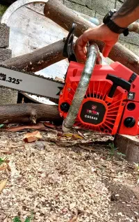 خدمات باغبانی اره کشی ایمن و قطع انواع درخت