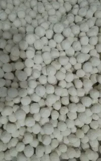 کشک خشک