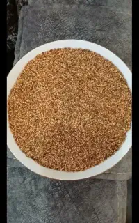 کنجد محلی اصل زاغمرز ارگانیک