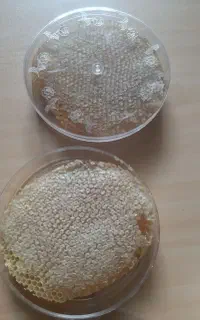 عسل سهند ( مراغه) بدون واسطه