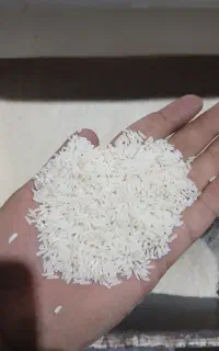 برنج هاشمی اصل د