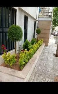 هرس وسمپاشی درختان باغ وباغچه وحیاط
