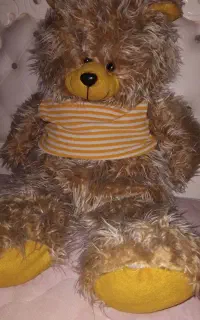 خرس بزرگ