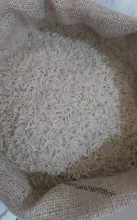 راهنمایی شغلی کنید