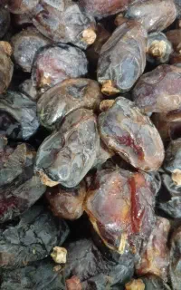 خرمای کبکاب