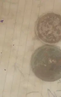 سکه