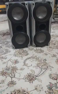 پاناسونیک ساب جفت