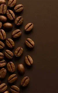 قهوه روبوستا ویتنام دارک