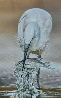 نقاشی رنگ روغن وطراحی