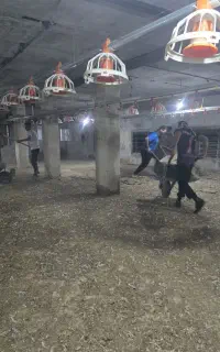 مزد ۵میلیون تومن برای ۲ نفر