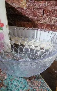 میوه خوری  سوگا ژاپنی