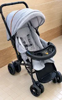 کالسکه دلیجان دو سه بار استفاده