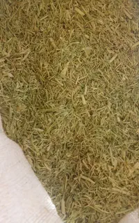 خارشتری