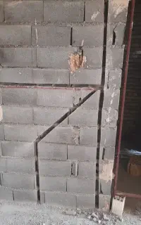 کرگیری پیکور کاری وشیارزنی