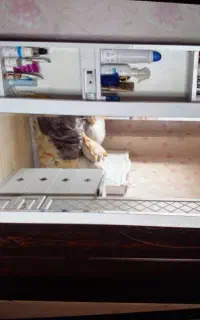 میز و اینه