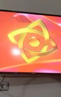 تلویزیون
