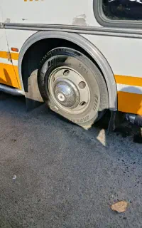 شامپو  نانو کارواَش داران