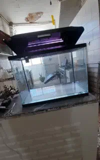 اکواریوم دلسا